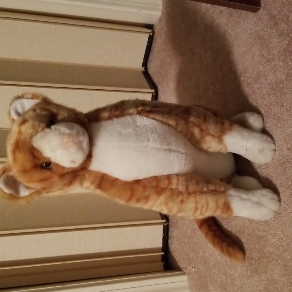 Melissa and Doug Cat